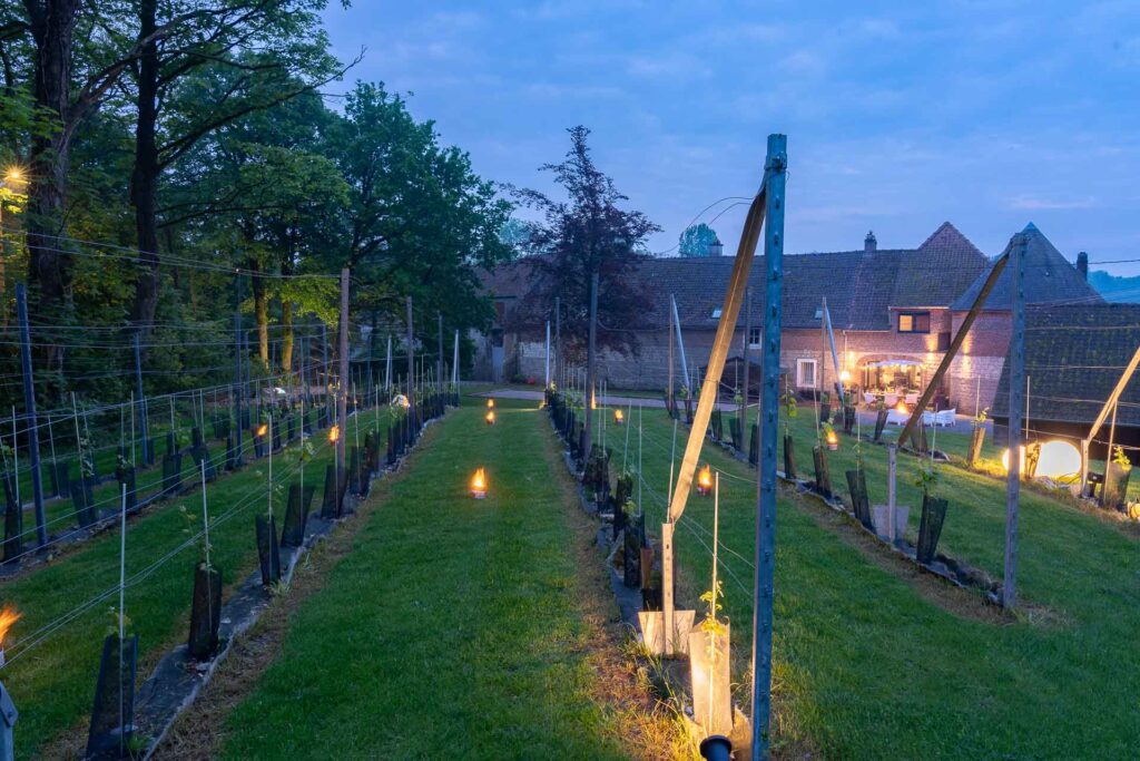 Het kasteel van fiennes bij het avondgloren. Wijngaard met vuurpotten op de voorgrond en uitzicht op de zuidelijke toren van het vakantieverblijf